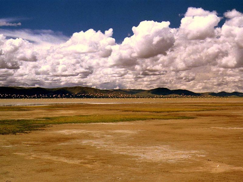 Laguna de los Pozuelos con flamencos, Jujuy