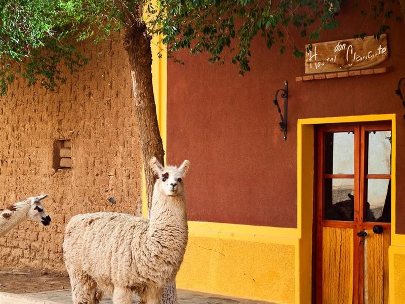 Calle de Santa Catalina, Jujuy